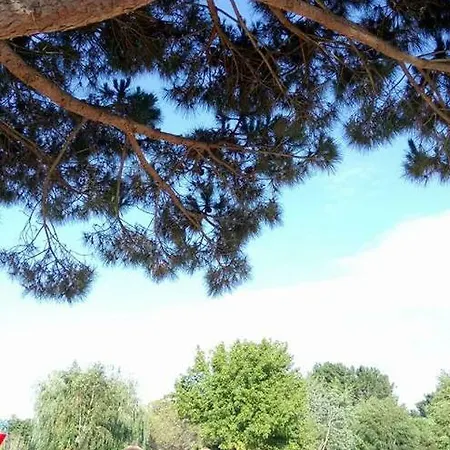 Evo Mobilhome Les Charmettes Ferienpark Les Mathes